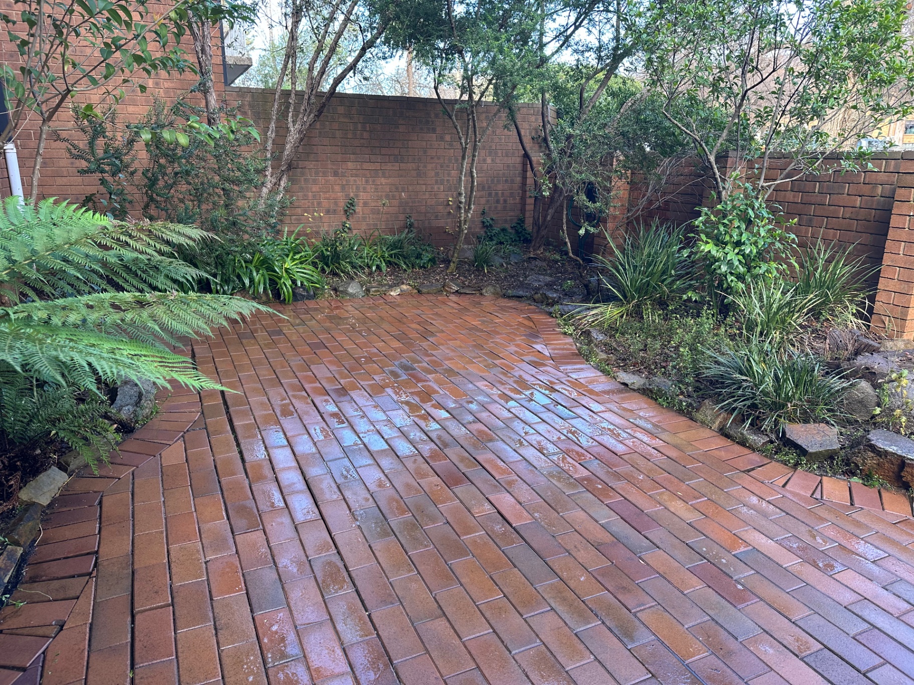Paver Cleaning & Re-sanding